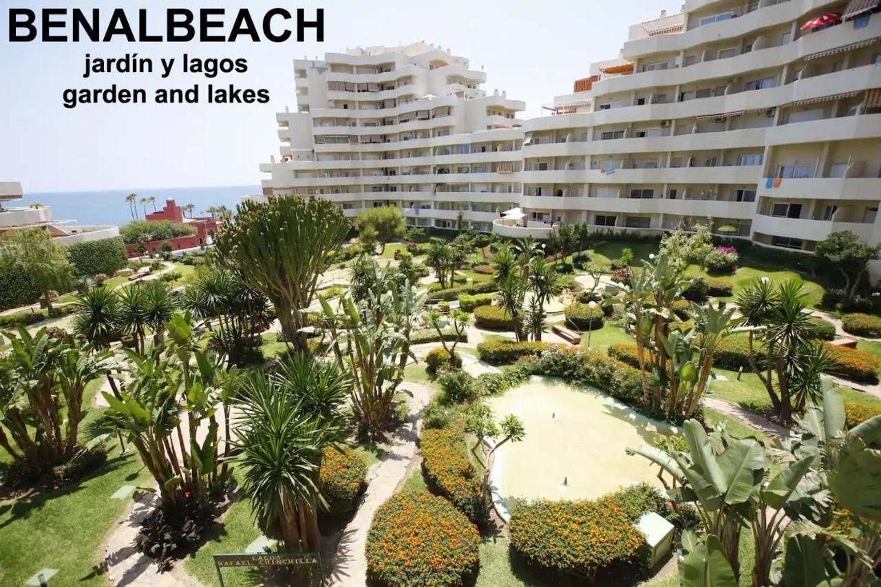 בנאלמדנה Estudio Benalbeach Primera Linea De Playa מראה חיצוני תמונה